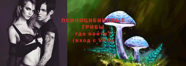 стафф Медногорск