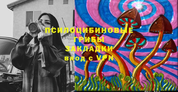 стафф Медногорск