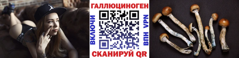 Галлюциногенные грибы Cubensis  Купить  Бологое 